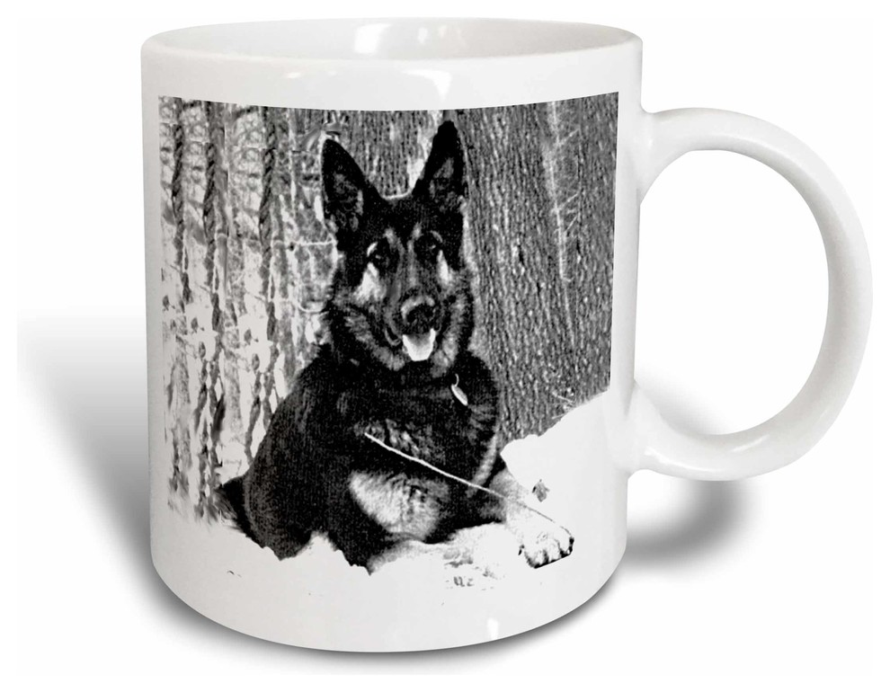 3dRose 140464_2 A A German Shepherd dog Mug 15 oz Ceramic