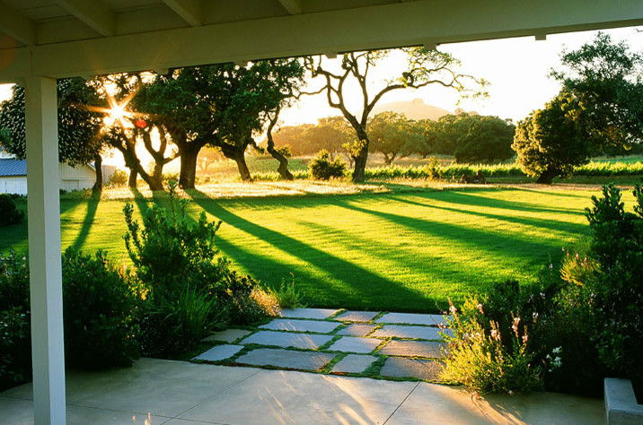 Photo of a contemporary landscaping.