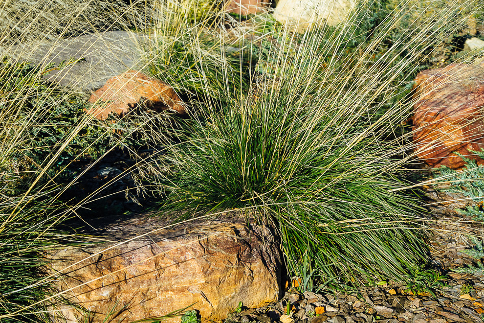 Русские Забавы