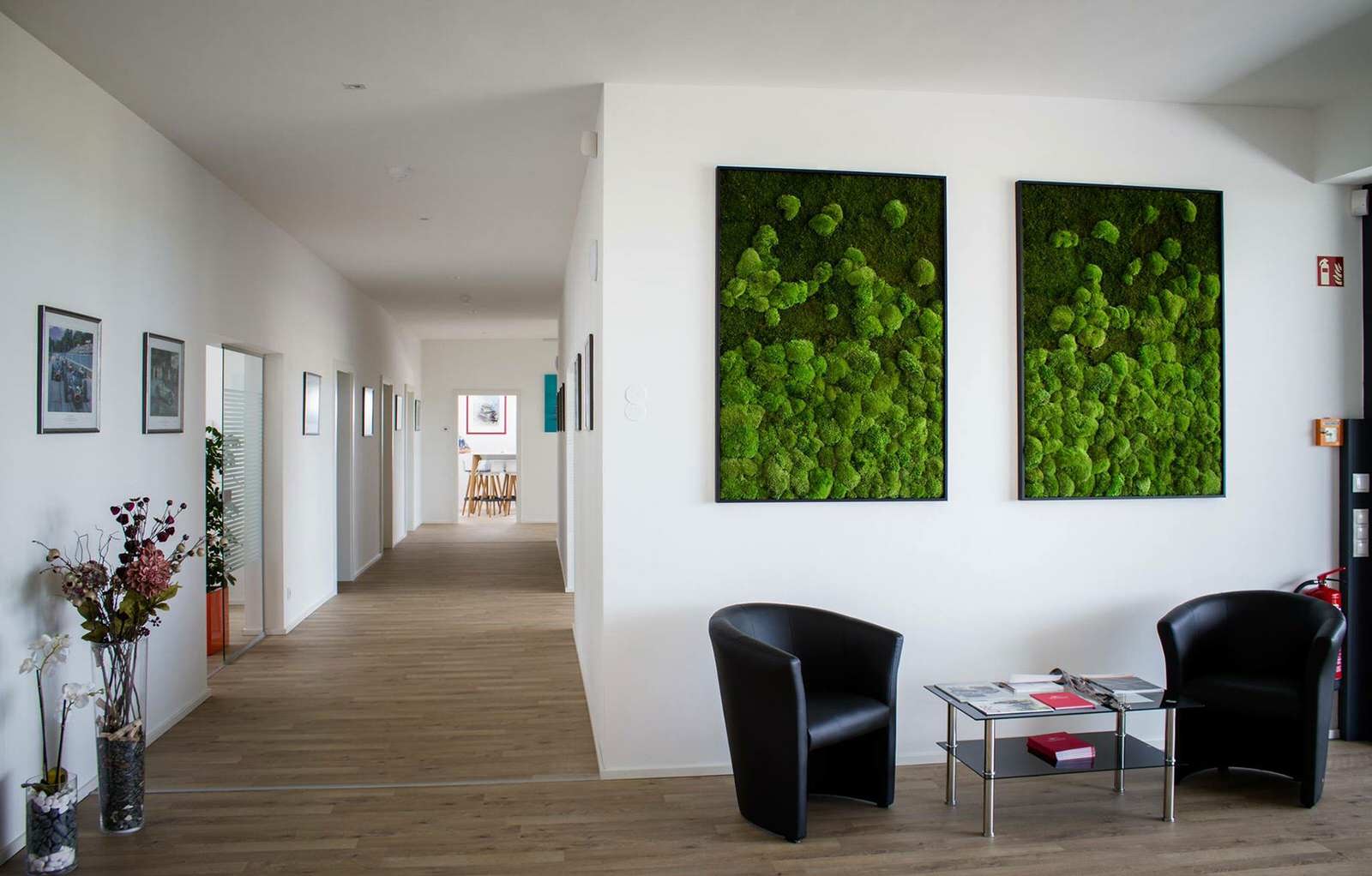 Фитопанно "Исландский мох"