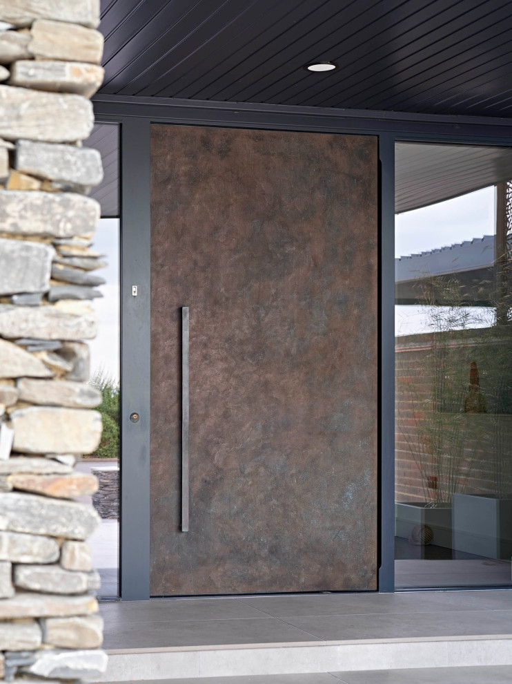 Immagine di una porta d'ingresso design con una porta a pivot e una porta in metallo
