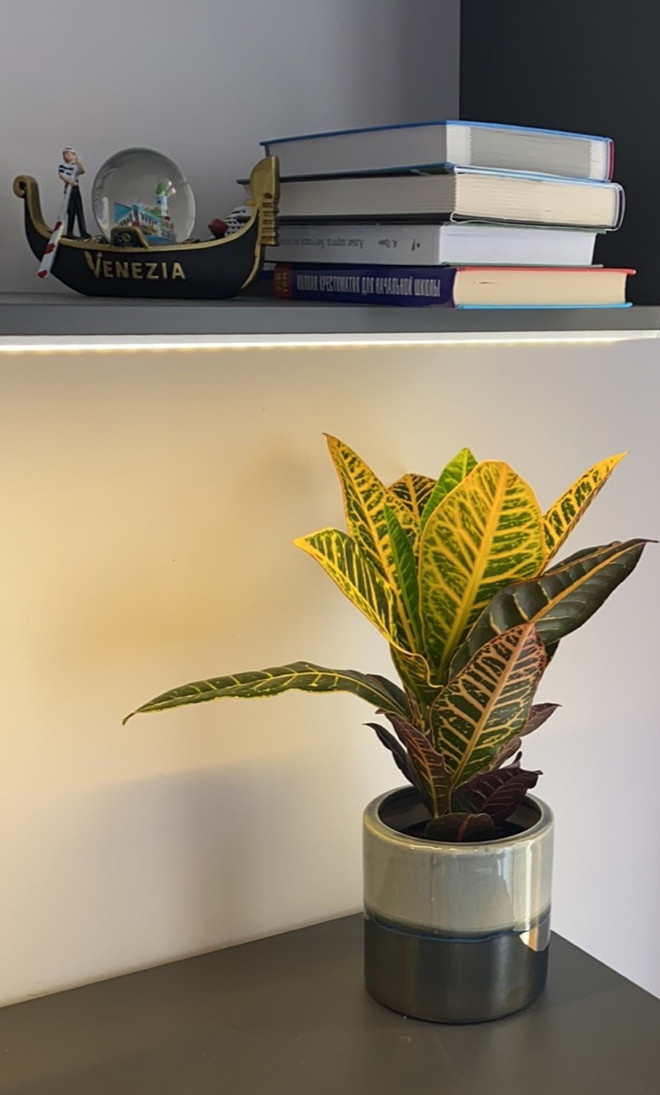 Декорирование частных квартир