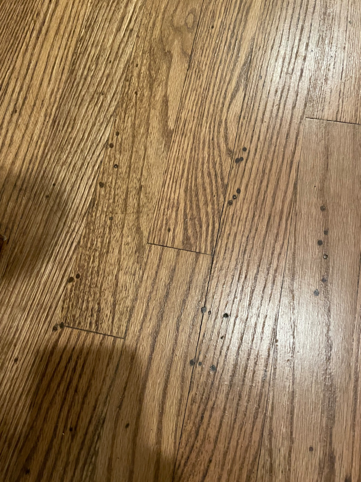 Spots on hardwood floor