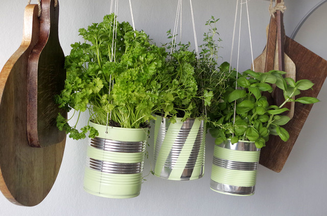 DIY : Recycler des conserves pour cultiver des herbes aromatiques