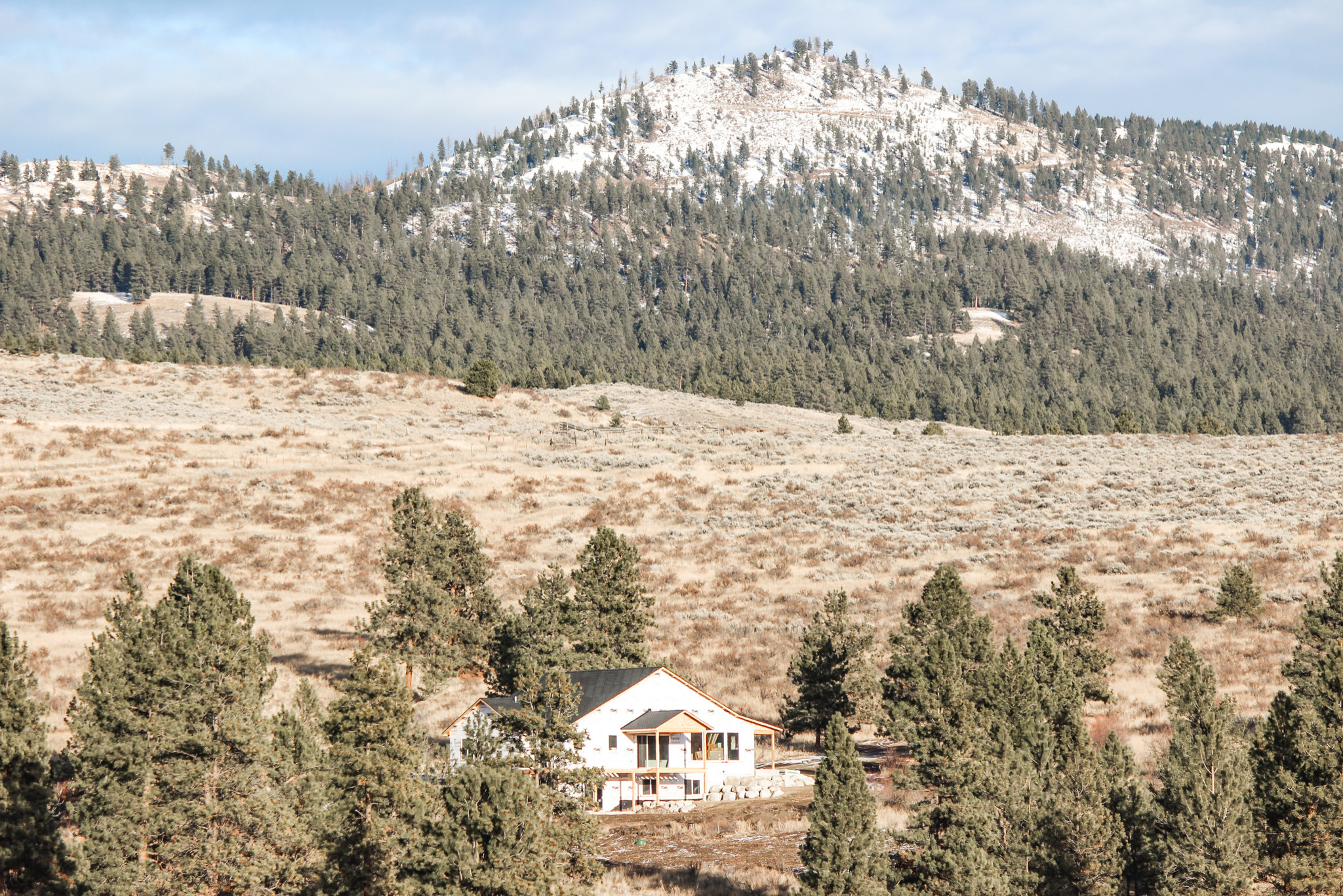 Orcutt Home