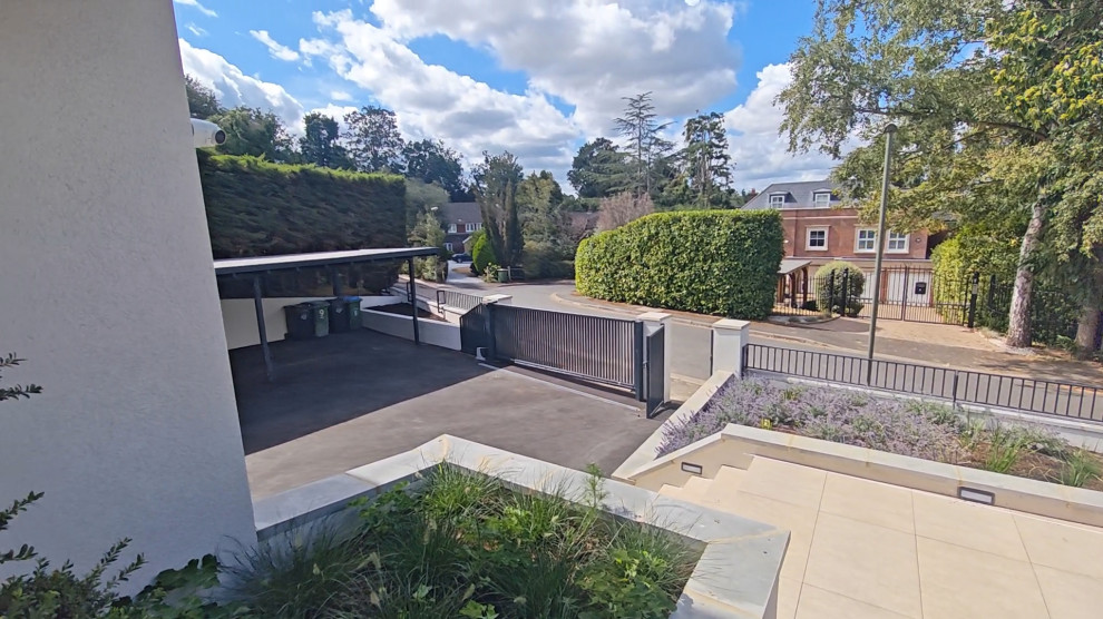 Woodpecker close Cobham