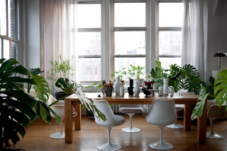 Tips for Keeping Your Houseplants Healthy in Winter (11 photos)