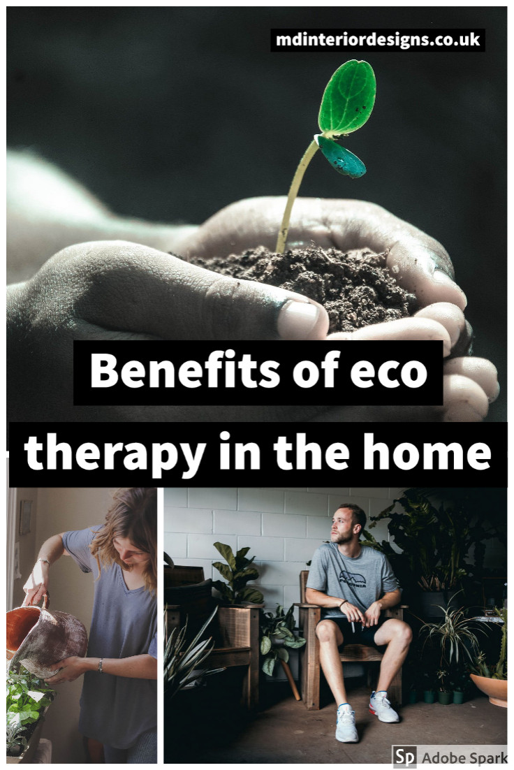 Eco Therapy