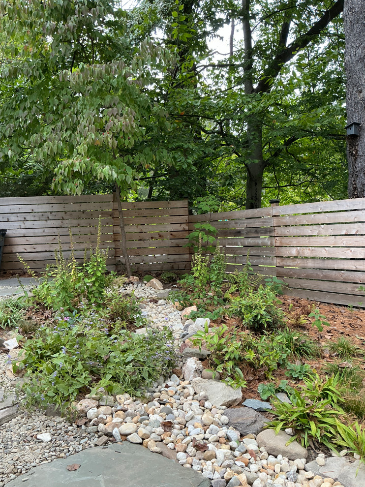 Conservation and rain gardens landscape