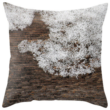 Snow Crystals on Wood Pillow Cover, 16x16