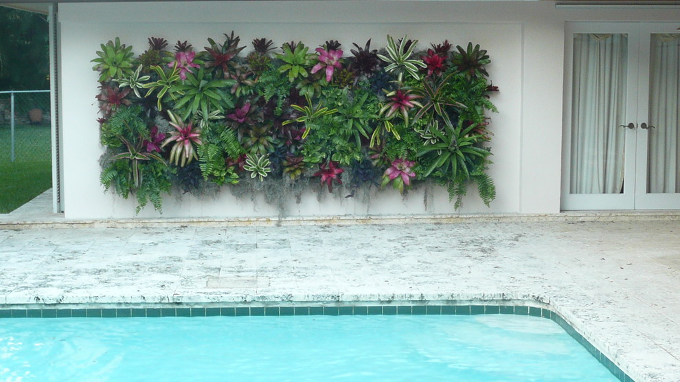 Modern garden in Miami.