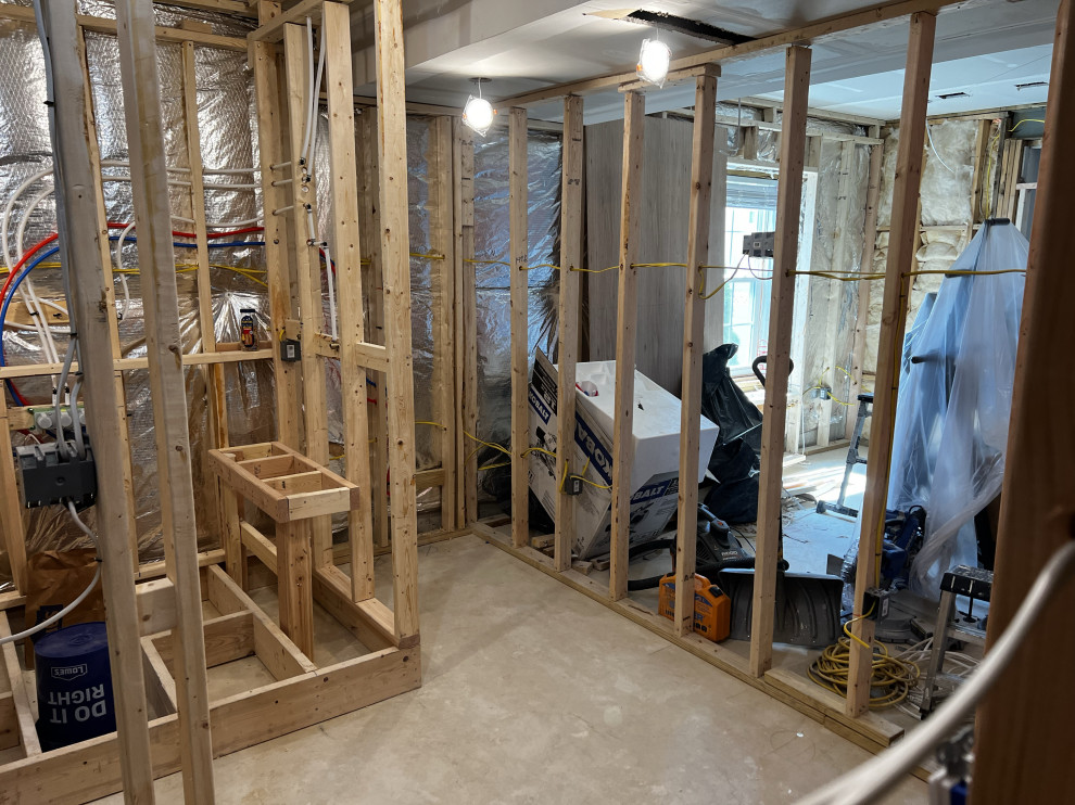 Basement Remodel