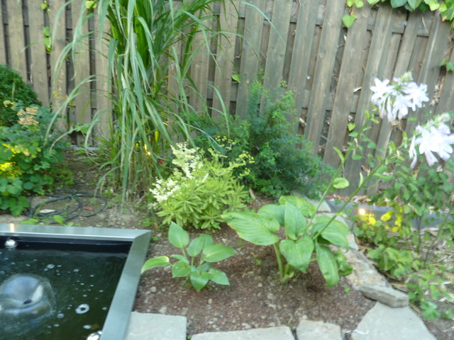 Umbau garden