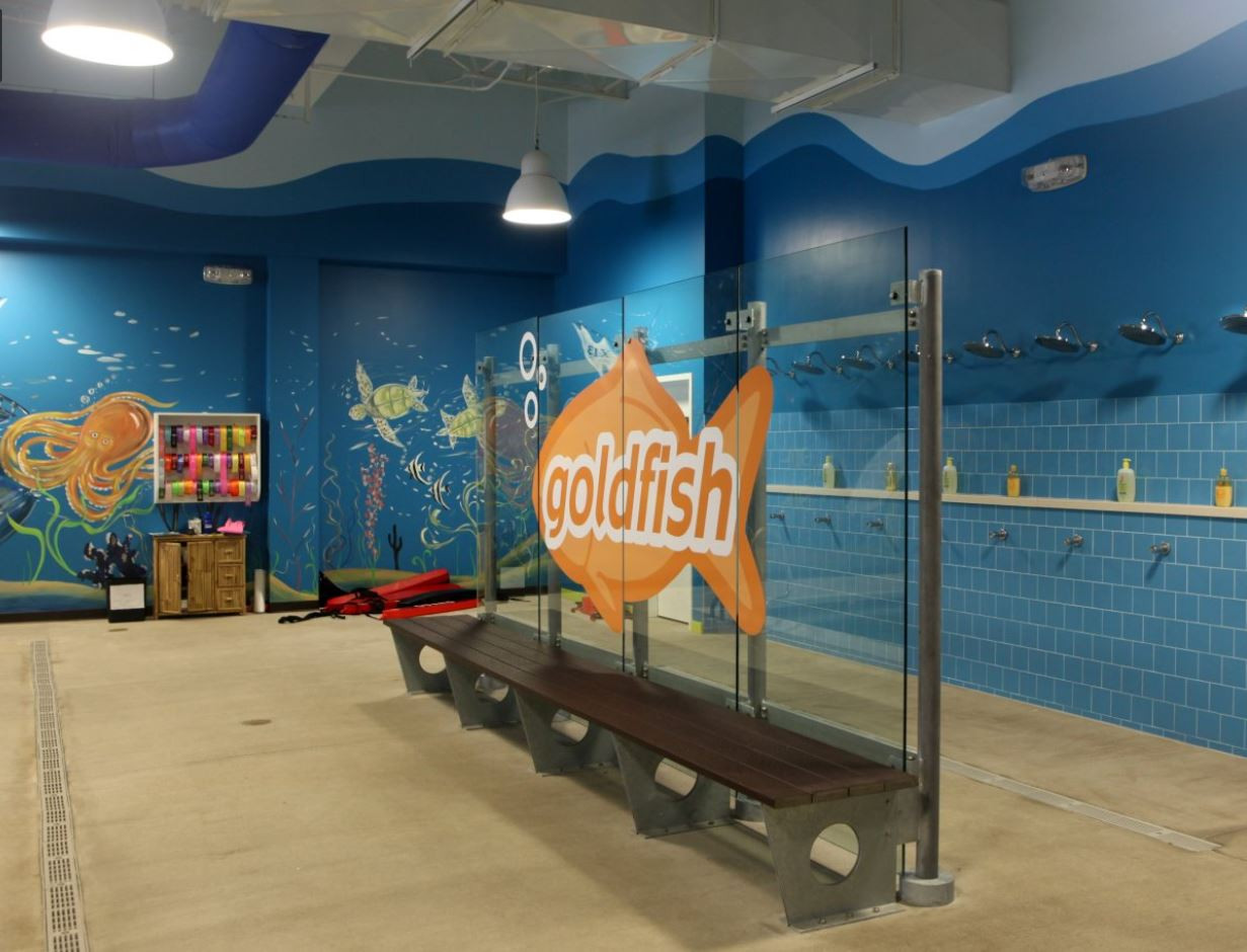 Goldfish Swim School