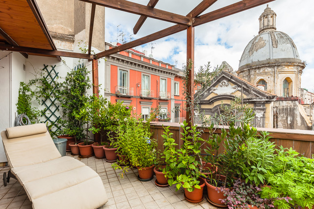 Conosci l'esposizione al sole del tuo terrazzo? Ecco come scegliere le  piante giuste!