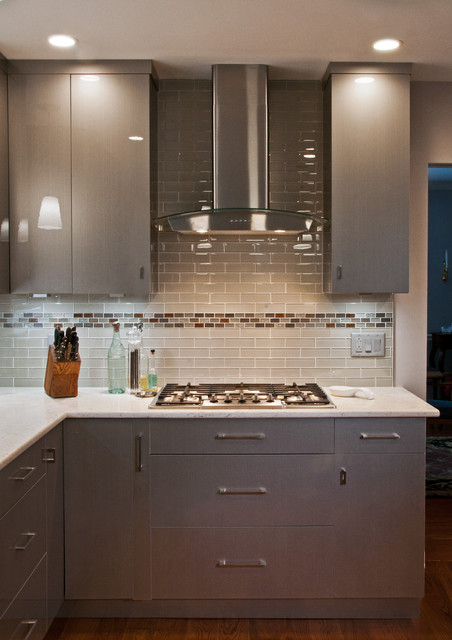 Stunning Silver Cabinets contemporary-kitchen