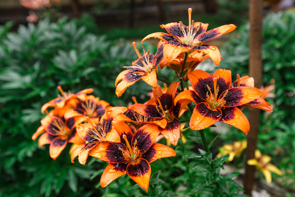 Экстерьер загородного дома