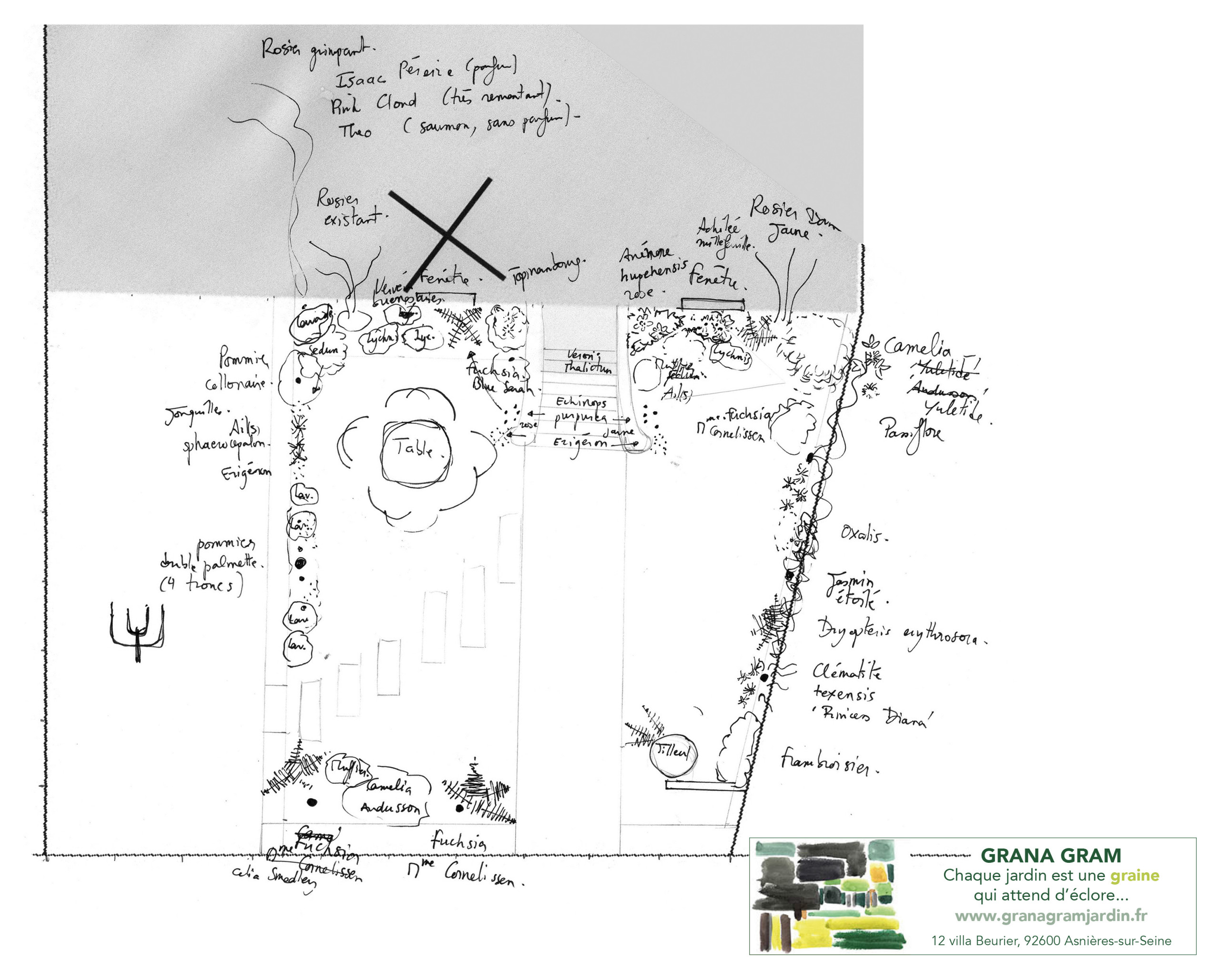 Conception - Jardin de ville de 50 m2