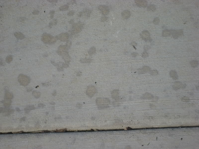 Concrete Spots?