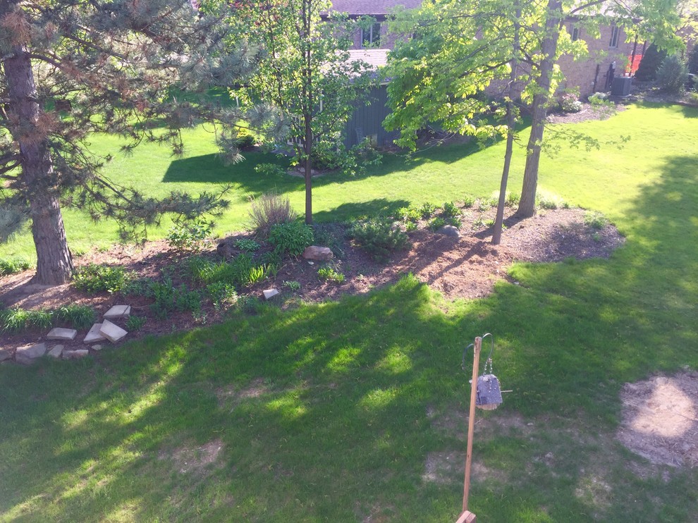 Backyard Help Needed