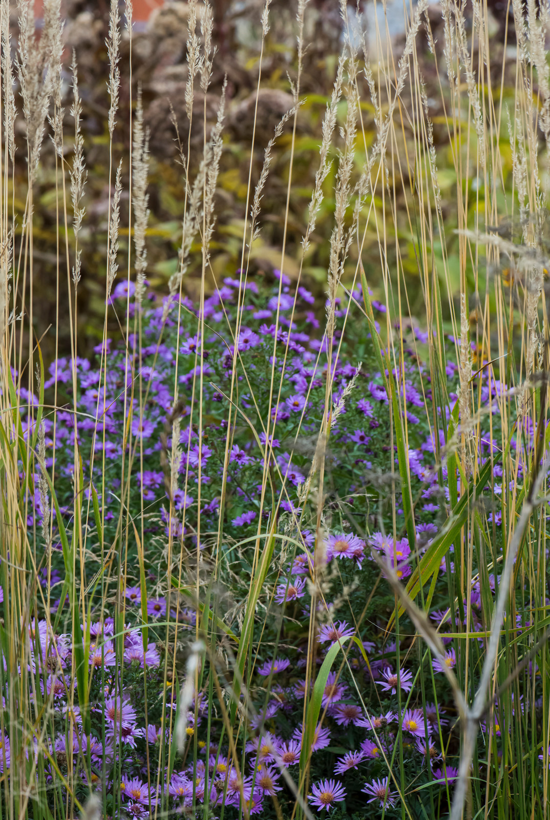 Большой сад в пригороде