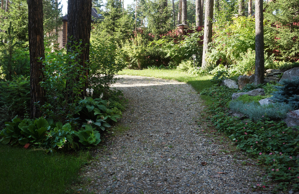 Лесной пейзаж