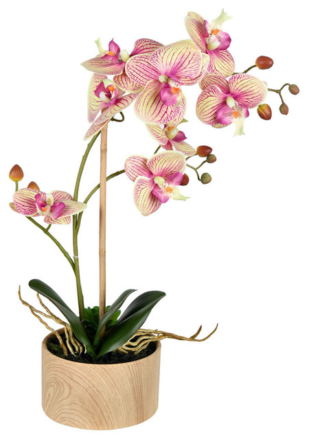 Vickerman 18" Orchid Floral Arrangement, Lavender, Yellow