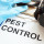 Pest Control Experts of Rockford
