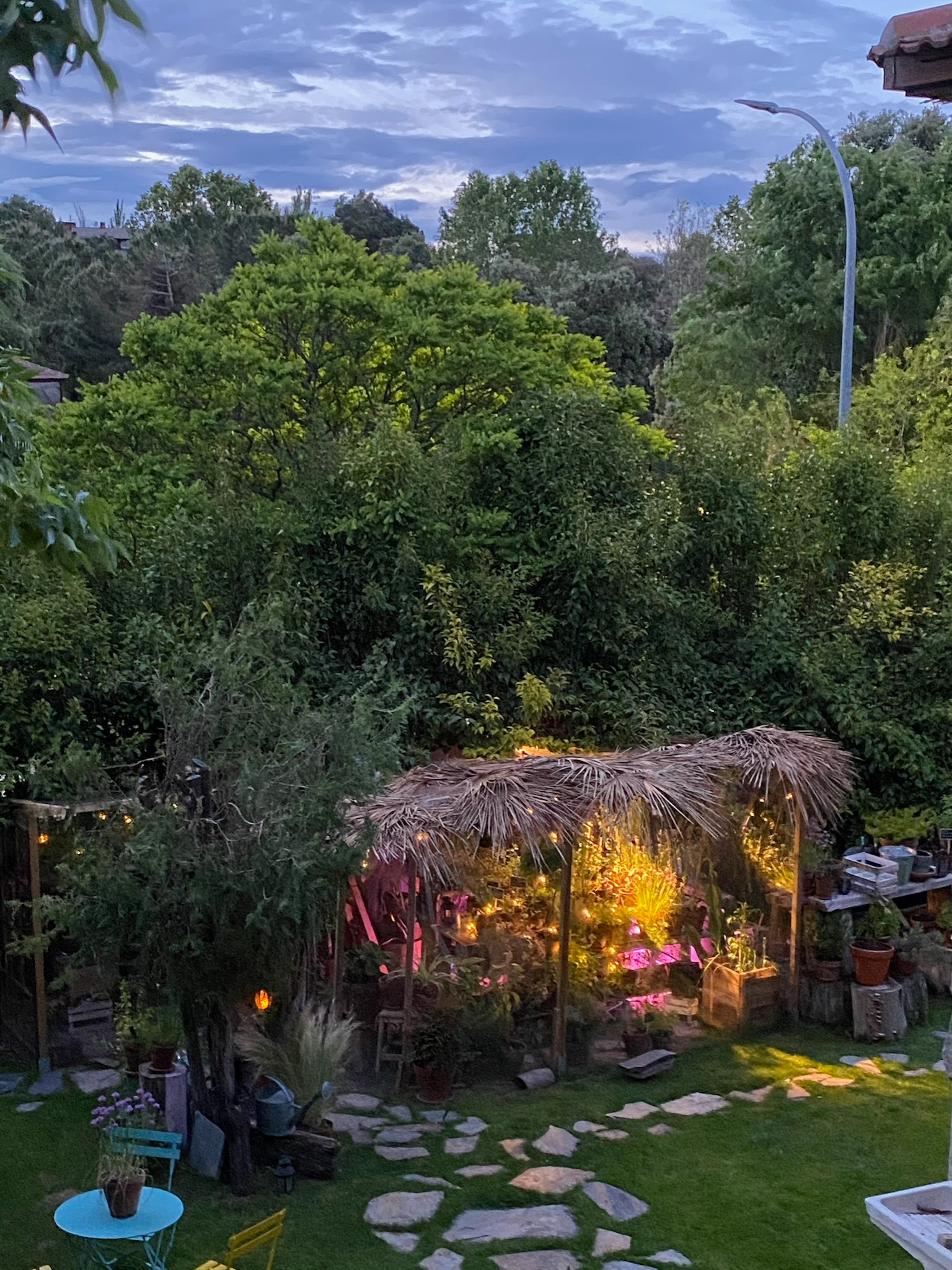 Inspiration for a landscaping in Madrid.