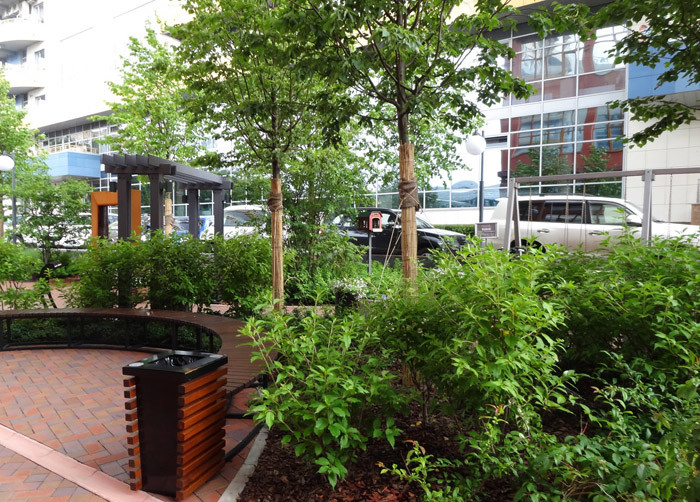 Парк ДК Новоспасский