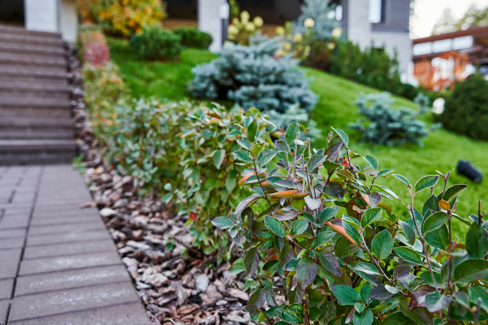 Сад холмов и склонов