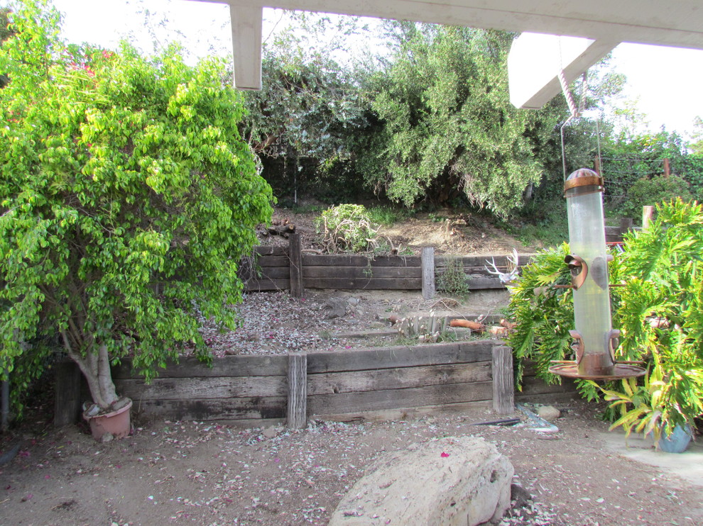 In Progress: Backyard Renovation