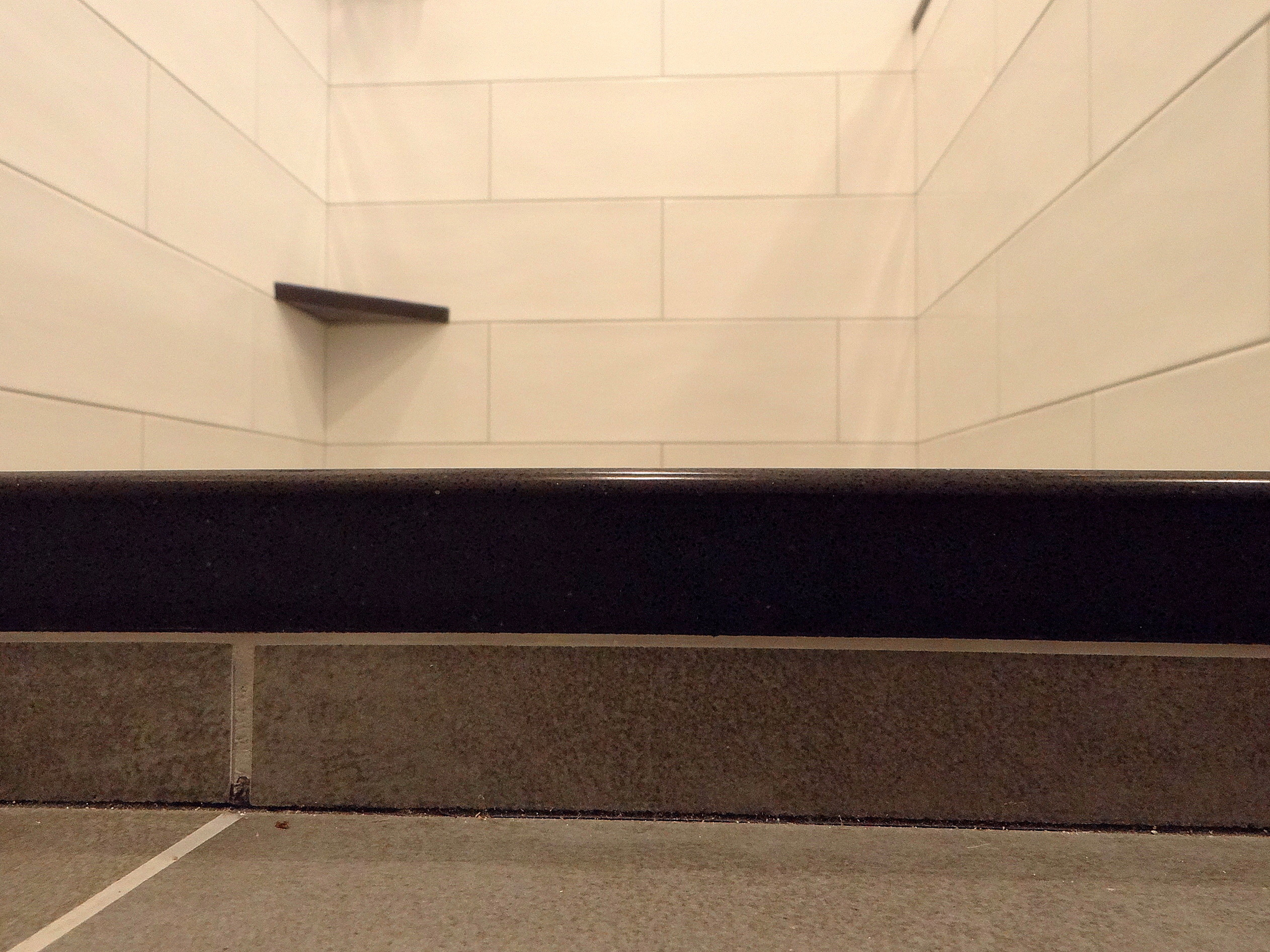 Greendale Residence - Master and Main Bath Remodel