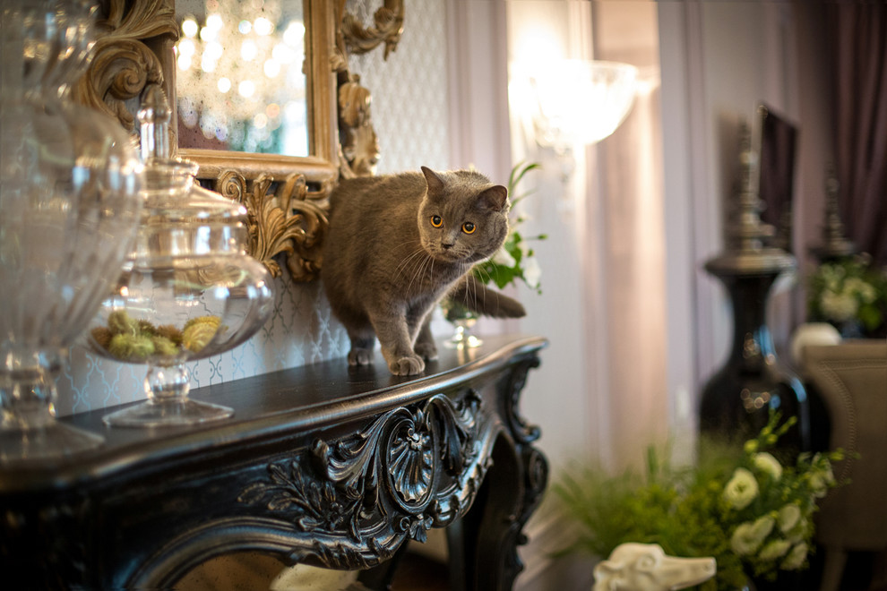 Classical Proportions