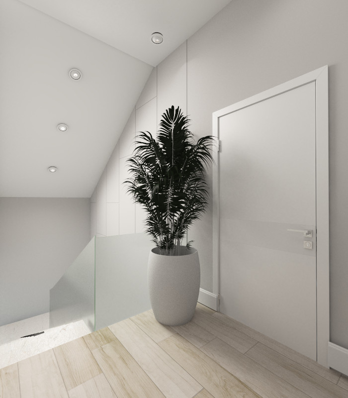 Частный дом для молодого человека.