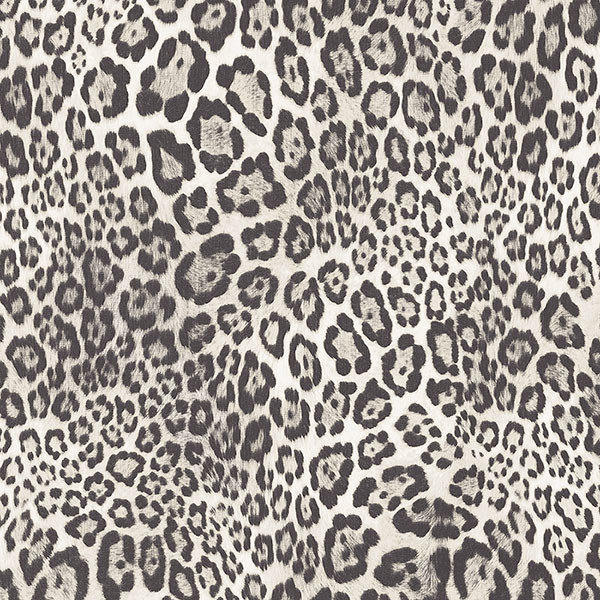 Leopard Print Wallpaper, Bolt Contemporary Wallpaper by American