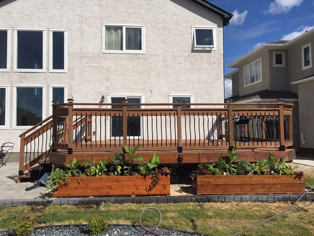 Landscape Projects transitional-garden