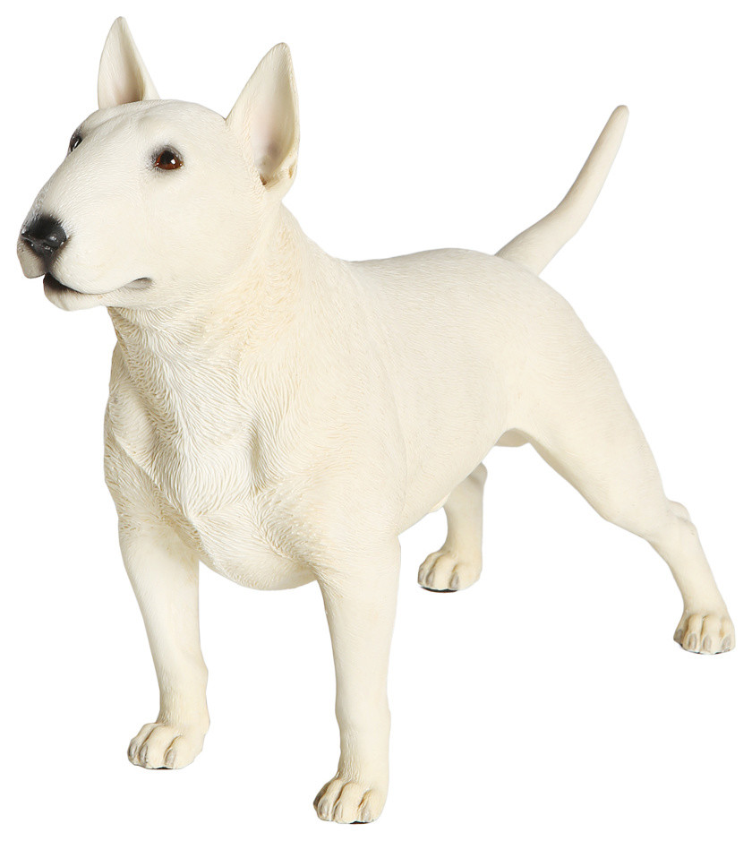 is the bull terrier legal in pitcairn islands