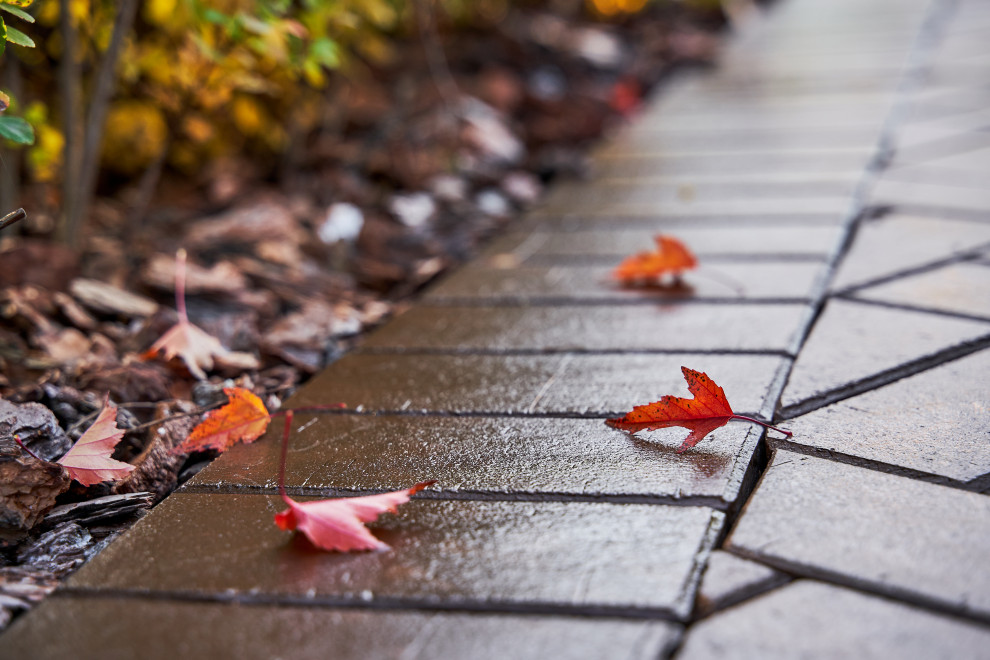 Сад холмов и склонов