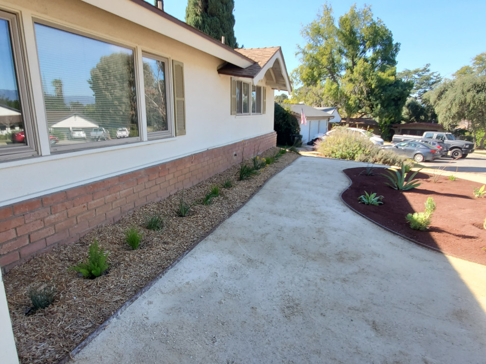 Design ideas for a mid-sized and desert look modern front yard full sun xeriscape for summer in Los Angeles with gravel.