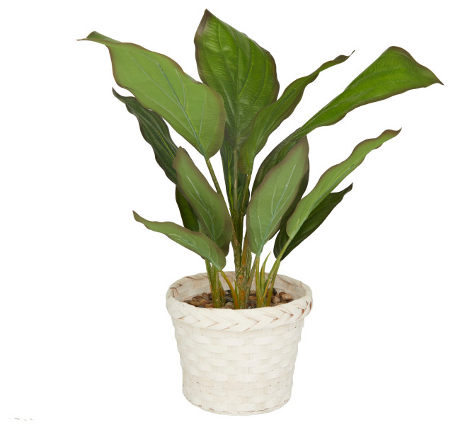 Coastal Green Faux Foliage Artificial Plant 561561 Beach Style