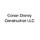 Conan Disney Construction LLC