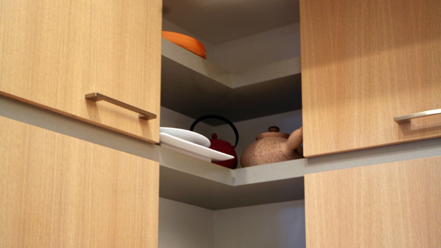 Upper Cabinet Inside Corner Use contemporary-koek