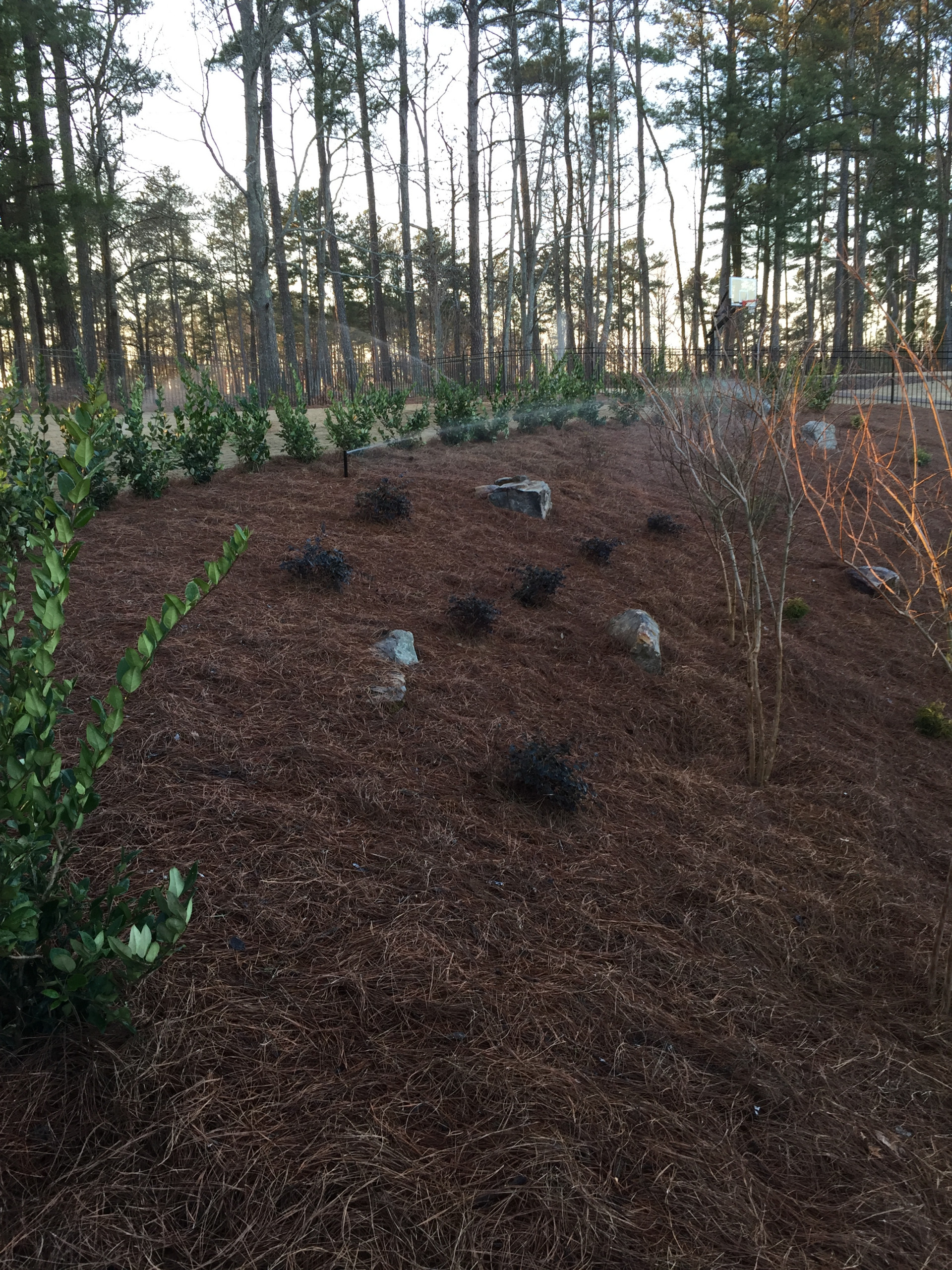 Alpharetta Yard Enhancements