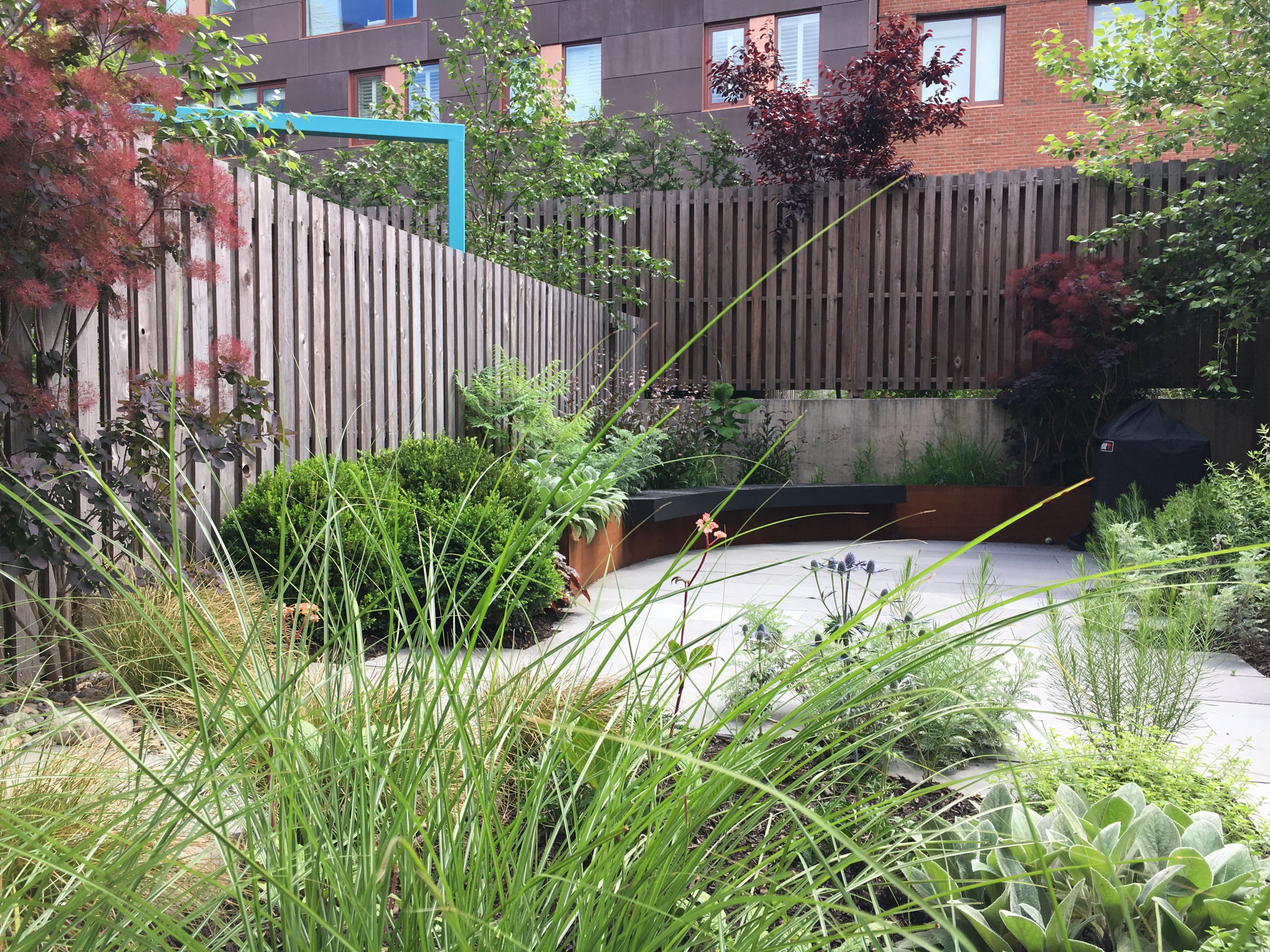 Modern Garden with Curved Corten Border