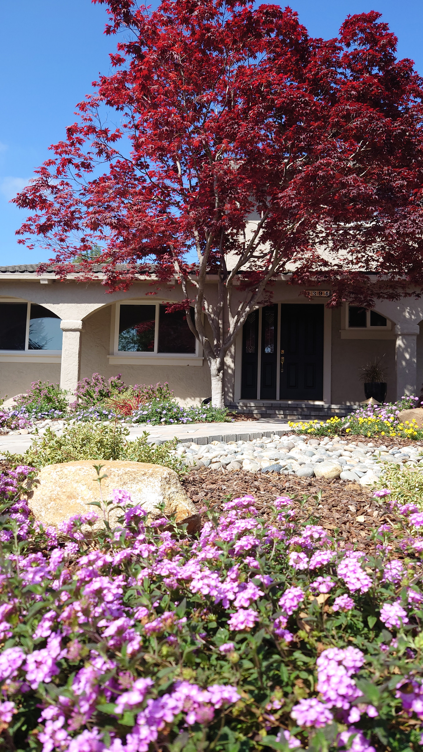 DESIGN TO COMPLIMENT MAPLE TREES