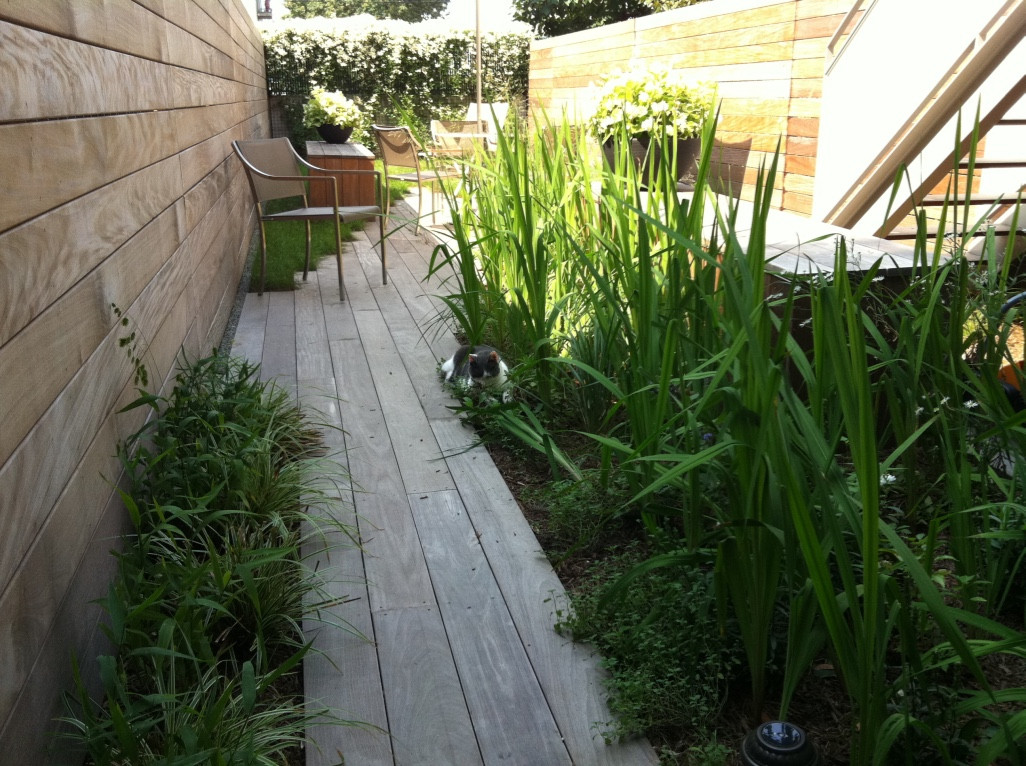 Narrow Townhouse Garden