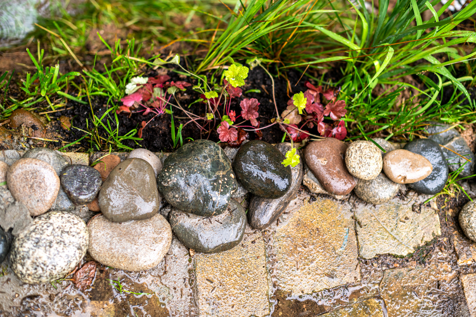 Декорирование беседки и участка Людмилы Хитяевой. "На дачу! С Наташей Барбье"