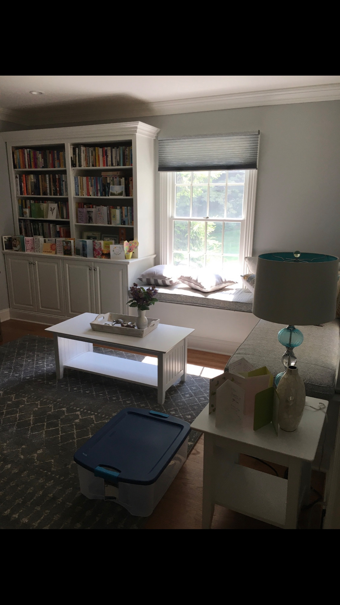 Library and Window Seat
