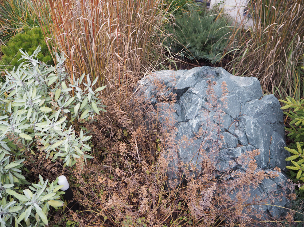 Сад с видом на Волгу